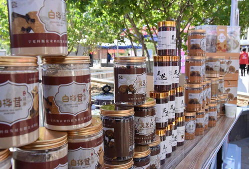 巾帼展风采，服务暖人心——银川市巾帼家政服务暨巾帼助力扶贫展示进社区活动正式启动